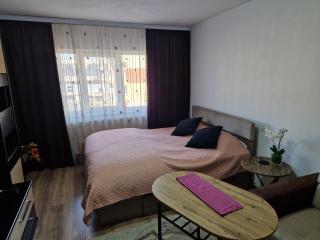 Apartament 2 camere Campulung Muscel - Cîmpulung - 8