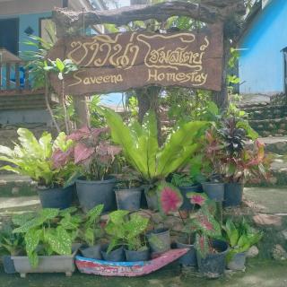 ซาวิน่า ลิบง โฮมเสตย์ Savina Libong - 4