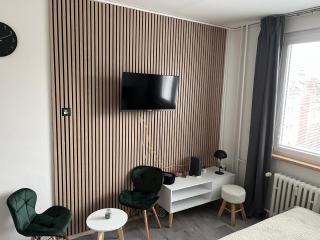 Moderní Apartmán v Děčíně - Děčín - 0