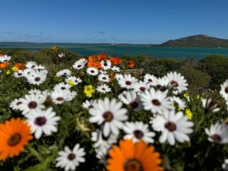 Tranquility - walking distance to beach - Langebaan - 1