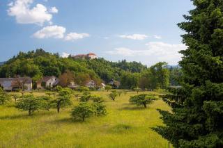 Orchard Villa - Bled - 5