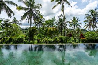 Villa Themma Jungle - Sumptuous 3BR Luxury Villa with Majestic Jungle View North of Ubud - Ubud - 8
