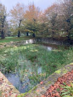 Le petit duc - Gans - 7