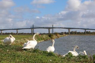 La Salamandre - Situé en plein coeur de ville et proche des thermes - 1