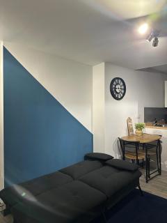 Cozy Studio in Sheffield City Centre with Sofa Bed - Sheffield - 3
