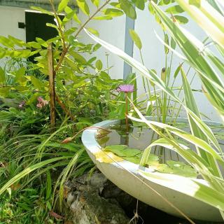 The Suhiroo Lodge - Weligama - 8