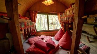 Baumhaushotel - Die geheime Welt von Turisede - Kulturinsel Einsiedel - 3
