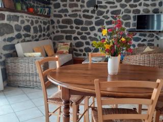 Gîte tout inclus avec terrasse, jardin et parkings, proche Puy-en-Velay et chemins de randonnée. - FR-1-582-323 - Séneujols - 6