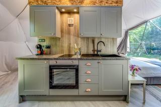 Woodland dome - Thornbury - 3