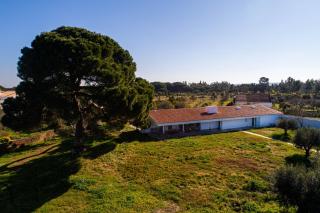 Villa do Pinheiro - Grândola - 4