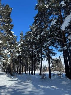 Karapetyans Guest House - 1