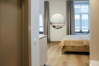 Opera studio with Air Conditioning in top location - Riga - 2