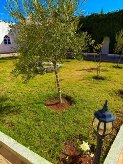 Hôtel Khalwa - 2