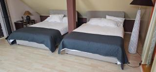 Apartment ZOI - Ptuj - 3