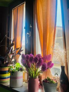 Le Terrazze Sul Pollino B&B - Civita - 8
