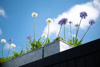 Blue Bay Beach House - 1