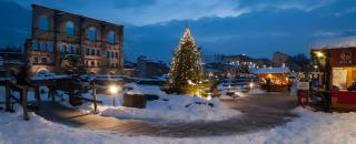 Mancuso del Voison Aosta - Aosta - 8