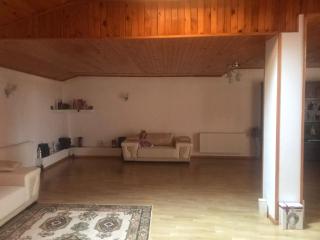 Vila Elena - Bucarest - 2
