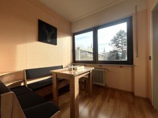 Simplex Apartments an der Dreisam - Friburgo em Brisgóvia - 4
