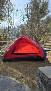 Oak N Ridge Resort - Mukteshwar - 8