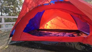 Oak N Ridge Resort - Mukteshwar - 7
