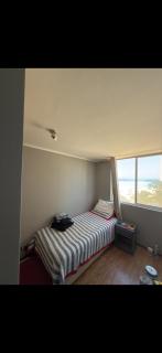 Laguna 308 - La Serena - 2