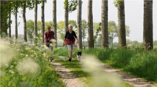 Sfeervol Chalet Zeeland met zonnige privétuin VP003 - heinkenszand - 4