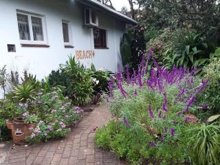 Emerald Cove - Shelly Beach - 4
