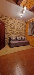 The Lake House - Borovoye - 3