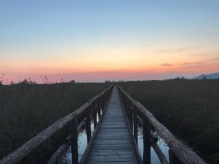 Stanza accogliente e ricercata - 4