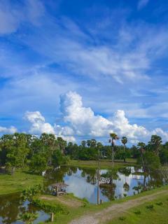 Bakkahland Farm and Resort - Pattani - 8