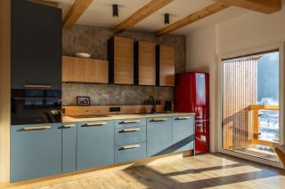 HARLEY FAMILY APARTAMENT - SKY - Muszyna - 8