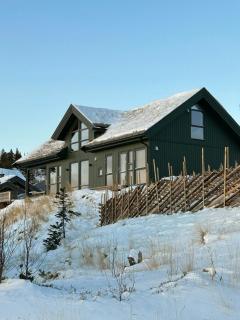 Cabin With Panoramic Views In Turufjell - Flå - 0
