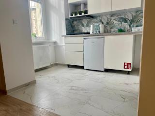Narutowicza 5 Apartments - Inowrocław - 8