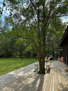 Authentic 60S Summer House By Ellinge Lyng - Højby - 5