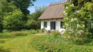 Farveglæde I Det Stråtækte Nordkystens Hus - Hundested - 0