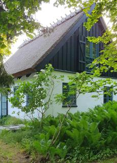 Farveglæde I Det Stråtækte Nordkystens Hus - Hundested - 5