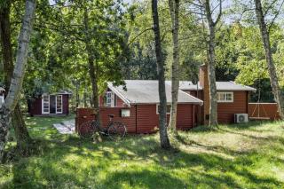 Timeless Holiday Atmosphere In A 50S Log House - Vig - 3