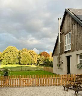 Cozy Holiday Home In The Mecklenburg Lake District - Hohen Demzin - 8