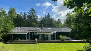 Holiday Home In Tranum Forest - Brovst - 8
