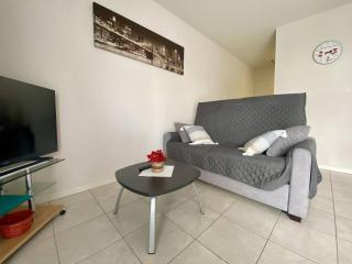 Appartement T2 Confortable avec Terrasse, Proche Centre Ville et Thermes, Cambo-les-Bains - FR-1-495-30 - Cambo-les-Bains - 9