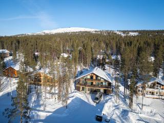 Holiday in Lapland - Levi Sulkakuja 6 A - 8