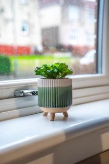Bonnie Apartment - Coatbridge - 4