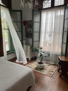 Departamento verde en casco histórico - 5