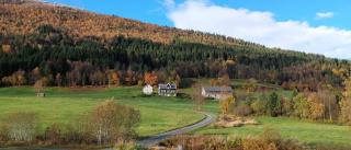 Heggjabygda Gjestegard - historisk tømmerhus i landlige omgivelser - 9