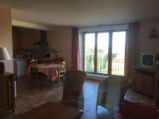 Gîte au coeur du plateau de Valensole avec piscine - FR-1-822-9 - Brunet - 5