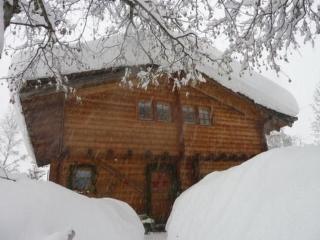 Ferienwohnung am Gibelsbach - Fiesch - 0