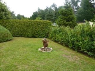 Bungalow Mecklenburgische Seenplatte - Wustrow - 0