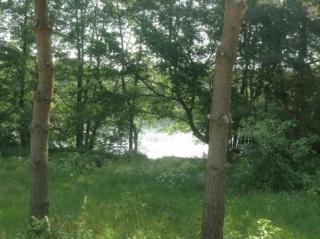 Bungalow Mecklenburgische Seenplatte - Wustrow - 8