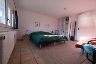 Casa Leula - Ronco sopra Ascona - 1
